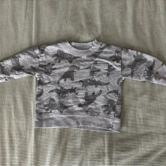 Gray and Green Dinosaur Baby Outfit Set - Picture 6 of 7